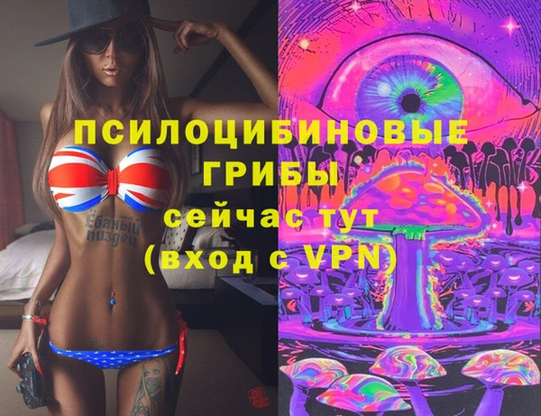 сатива Алзамай