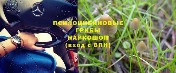 бошки Алексеевка