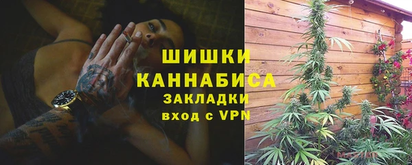 сатива Алзамай