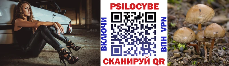 Галлюциногенные грибы MAGIC MUSHROOMS  это состав  Камышин  где можно купить  