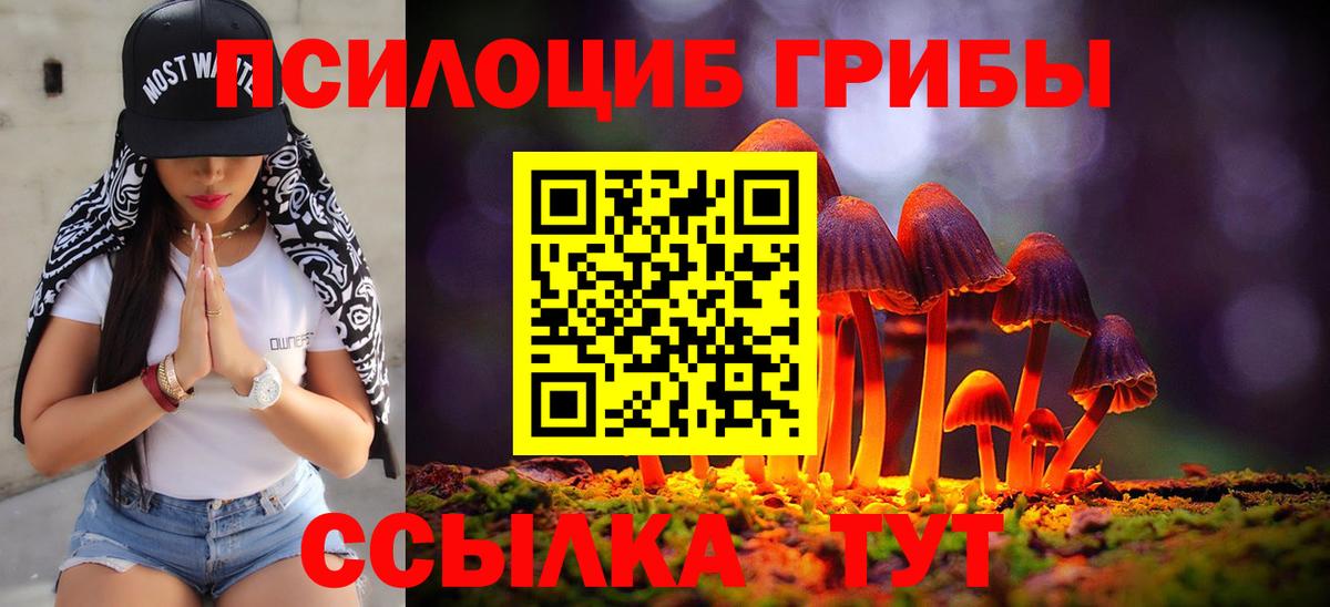 Галлюциногенные грибы MAGIC MUSHROOMS Камышин