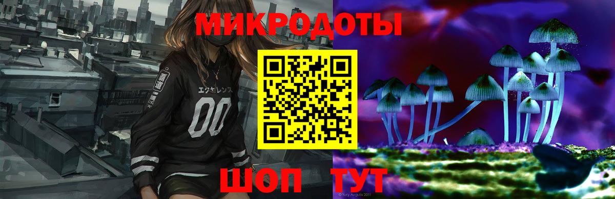Псилоцибиновые грибы Psilocybine cubensis  Псилоцибиновые грибы GOLDEN TEACHER  Вход с VPN  Камышин 